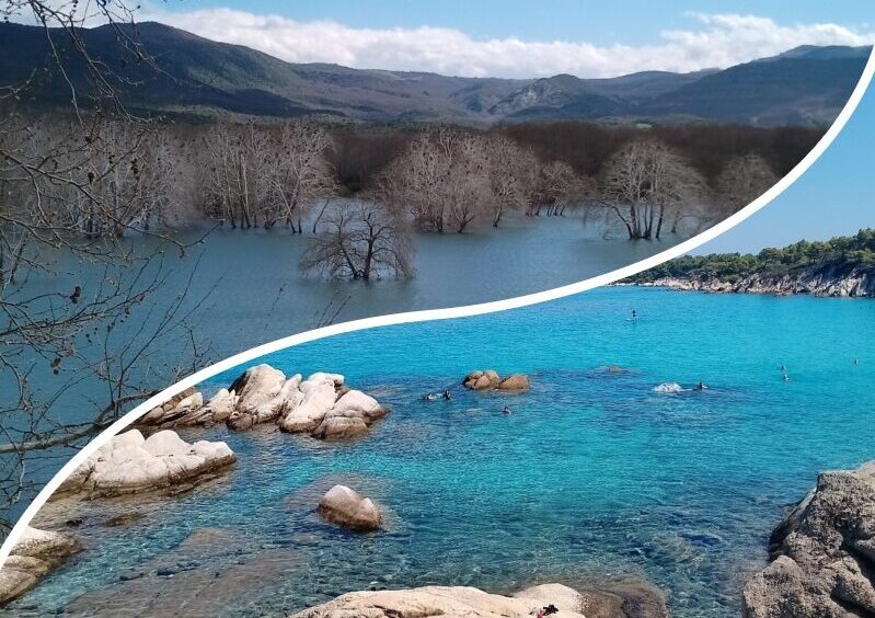 Η ζωή σαν κοκτέιλ